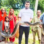 শ্রীমঙ্গলে উদ্ধারকৃত ২৫ কেজি ওজনের অজগর সাপ