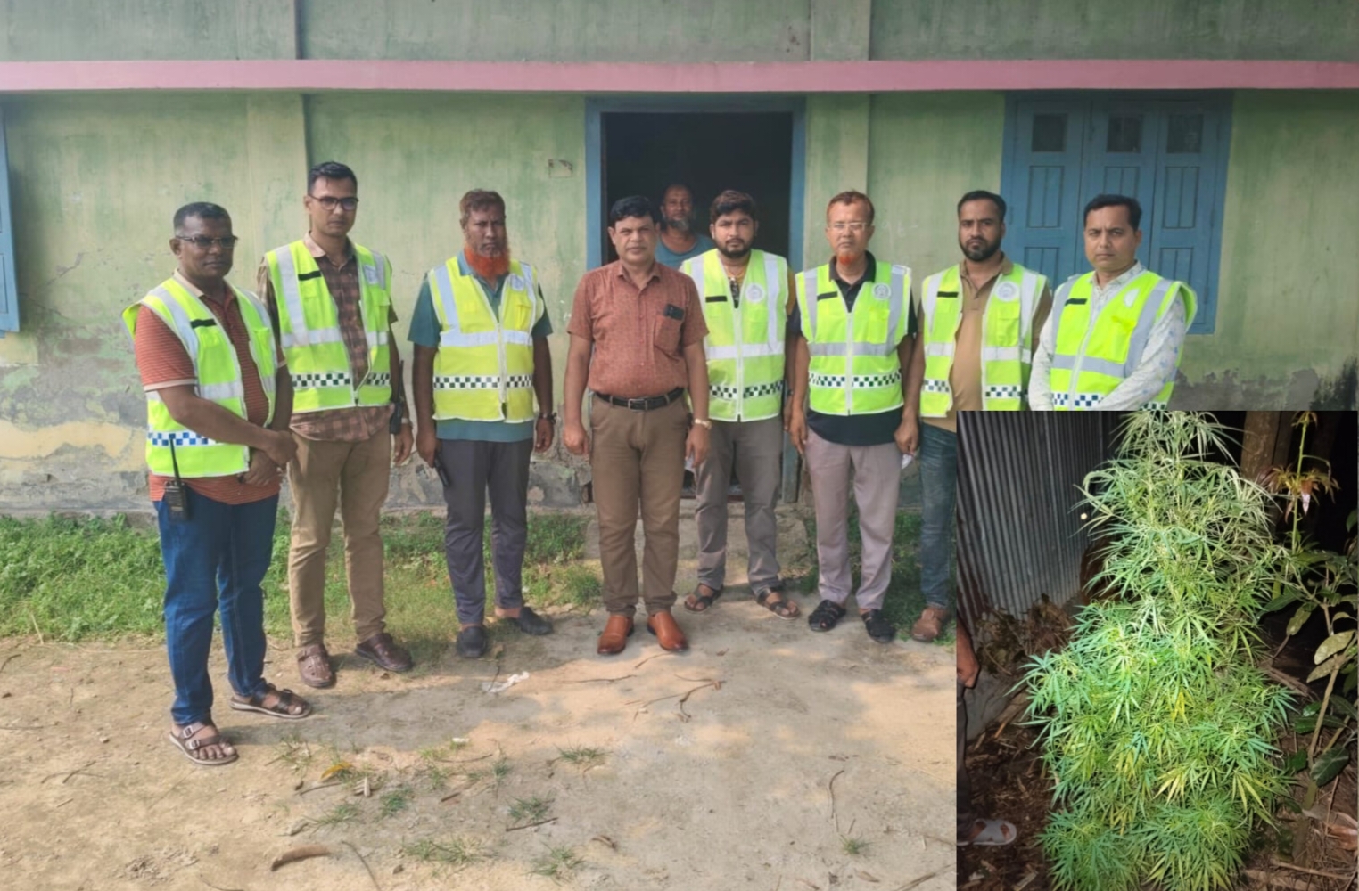 পাঁচবিবিতে গ্রাম পুলিশের বাড়ীতে গাঁজার চাষ, গ্রেফতার -২
